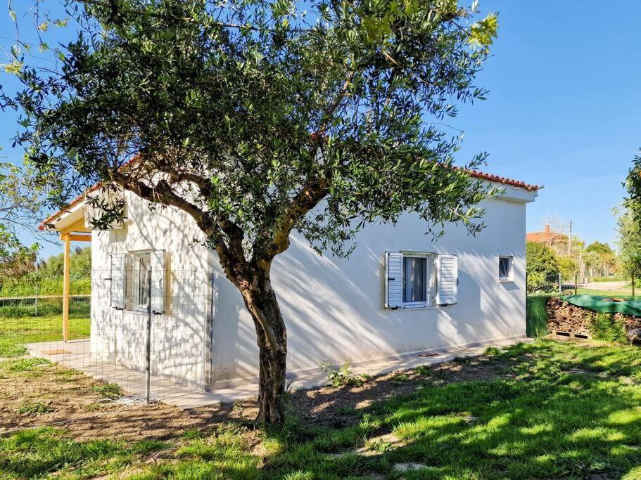 Cozy Owl'S Studio Home Pírgos Buitenkant foto